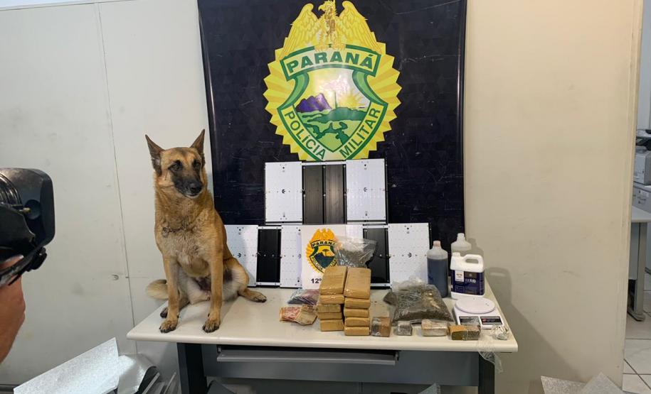 PM apreende 90 pés de maconha e mais de seis quilos prontos para a venda no Butiatuvinha, em Curitiba