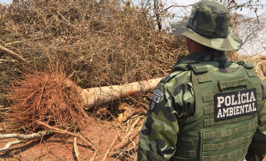 Denúncia leva Polícia Ambiental à aplicar R$ 80 mil em multas por desmatamento em Iporã (PR)