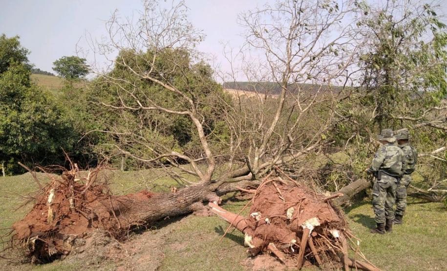 Denúncia leva Polícia Ambiental à aplicar R$ 80 mil em multas por desmatamento em Iporã (PR)