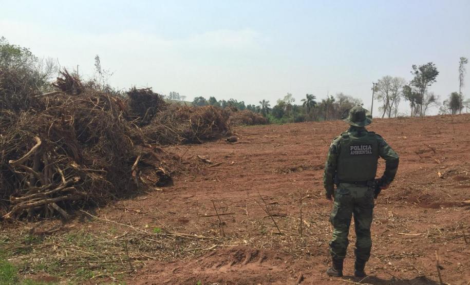 Denúncia leva Polícia Ambiental à aplicar R$ 80 mil em multas por desmatamento em Iporã (PR)