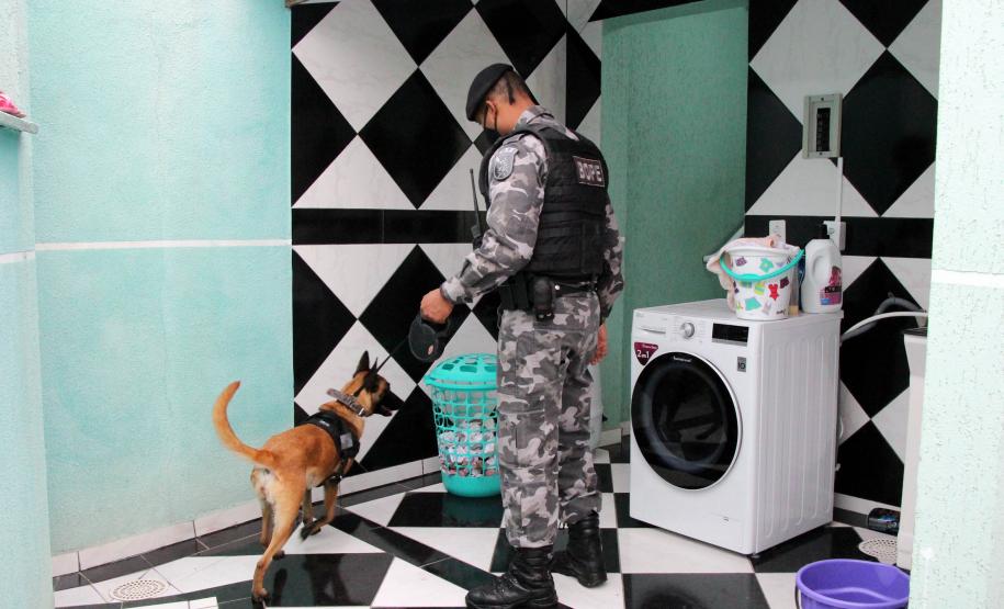 Polícia Civil e PM prendem 15 envolvidos com tráfico de drogas