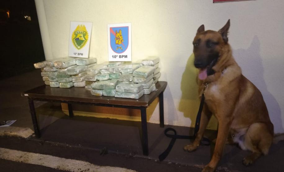 Após denúncia, PM apreende mais de 30 quilos de maconha em para-choque de carro no Norte do estado