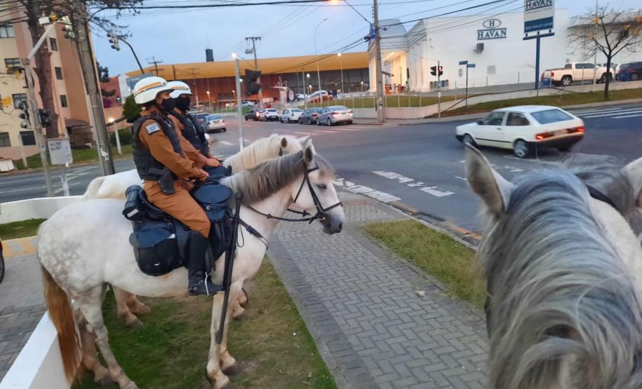 Pistola e 46 quilos de maconha são apreendidos durante a Operação Saturação do Regimento de Polícia Montada em Curitiba