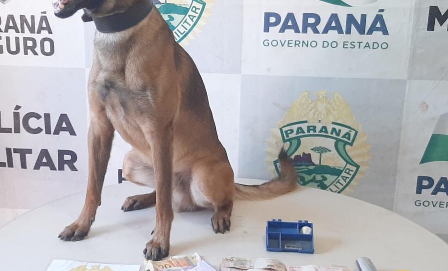 PM, Depen e Ministério Público cumprem mandados judiciais no Noroeste paranaense contra o crime organizado