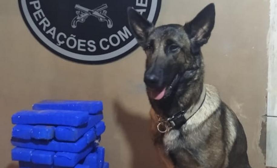 BPFron apreende mais de 15 quilos de maconha em Marechal Cândido Rondon (PR)