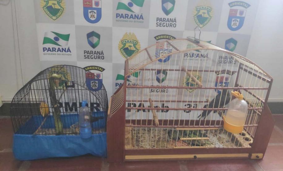 Polícia ambiental prendeu 231 pessoas e resgatou mais de 2 mil aves