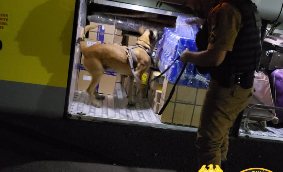 BPRv apreende mais de 50 quilos de maconha e um revólver em situações distintas