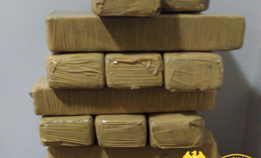 No Norte do estado, Canil do BPRv apreende mais de 15 quilos de maconha em ônibus