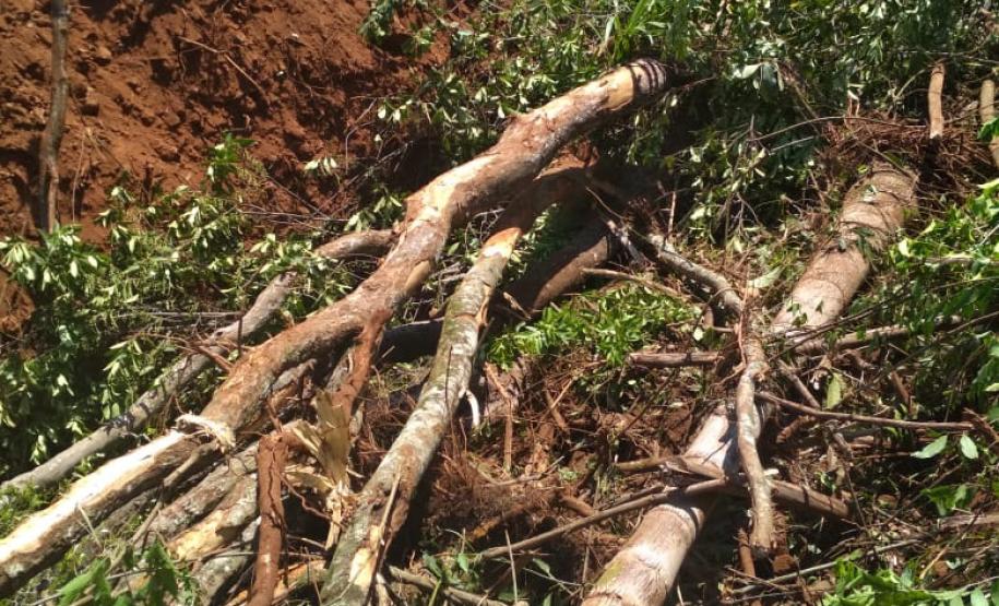 No Sudoeste, PM prende três pessoas por receptação e crime ambiental após denúncias