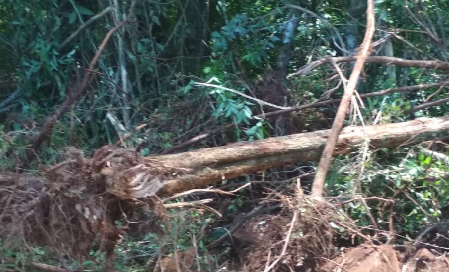 No Sudoeste, PM prende três pessoas por receptação e crime ambiental após denúncias