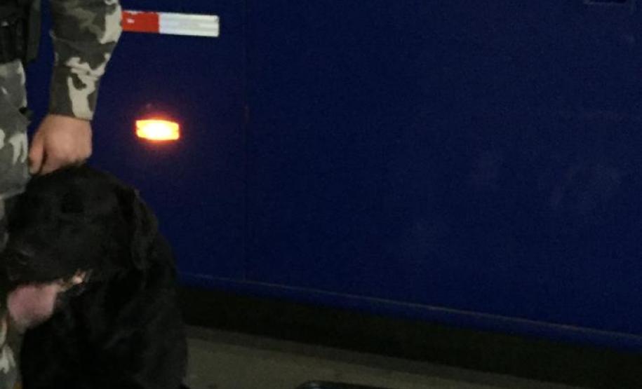 Mulher que levava 19,3 quilos de maconha dentro de ônibus de viagem é presa pela PM em Guarapuava (PR)