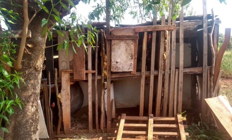 BPAmb-FV encaminha três pessoas e apreende 20 galos usados para a rinha no Noroeste do estado