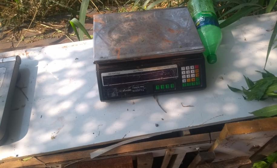 BPAmb-FV encaminha três pessoas e apreende 20 galos usados para a rinha no Noroeste do estado