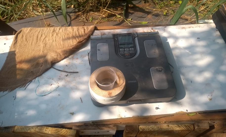 BPAmb-FV encaminha três pessoas e apreende 20 galos usados para a rinha no Noroeste do estado