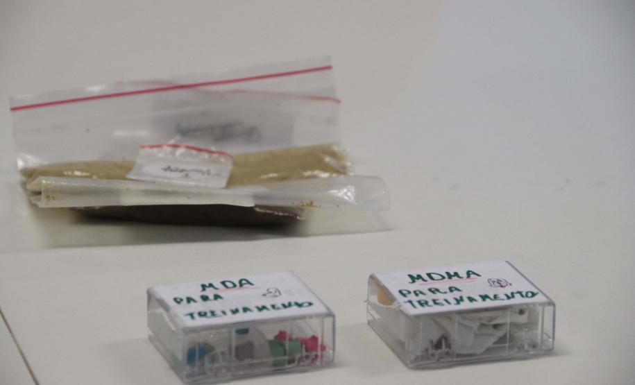 Polícia treina cães de faro para encontrar novas drogas em circulação