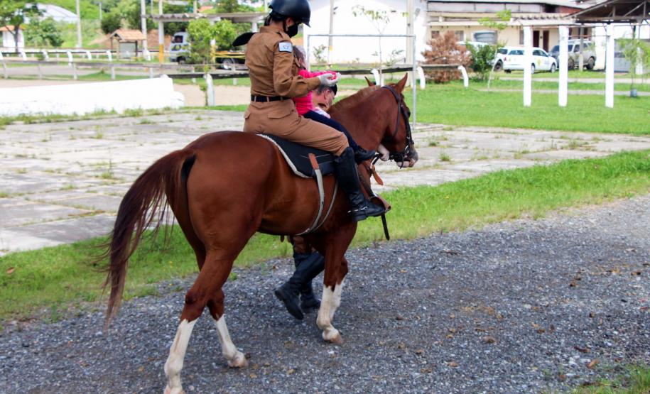 Assinatura de termo de cooperação técnica com ONG ampliará programa de Equoterapia