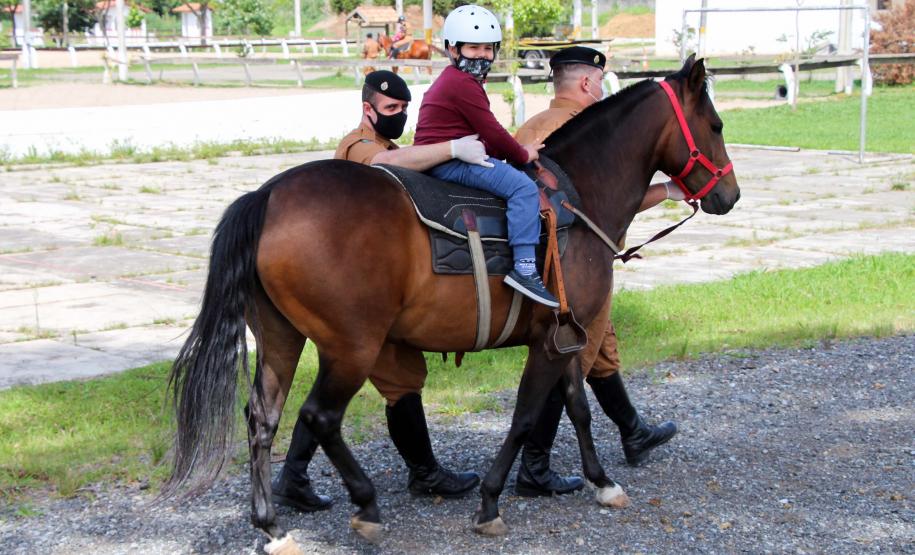 Assinatura de termo de cooperação técnica com ONG ampliará programa de Equoterapia