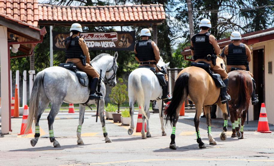 Assinatura de termo de cooperação técnica com ONG ampliará programa de Equoterapia