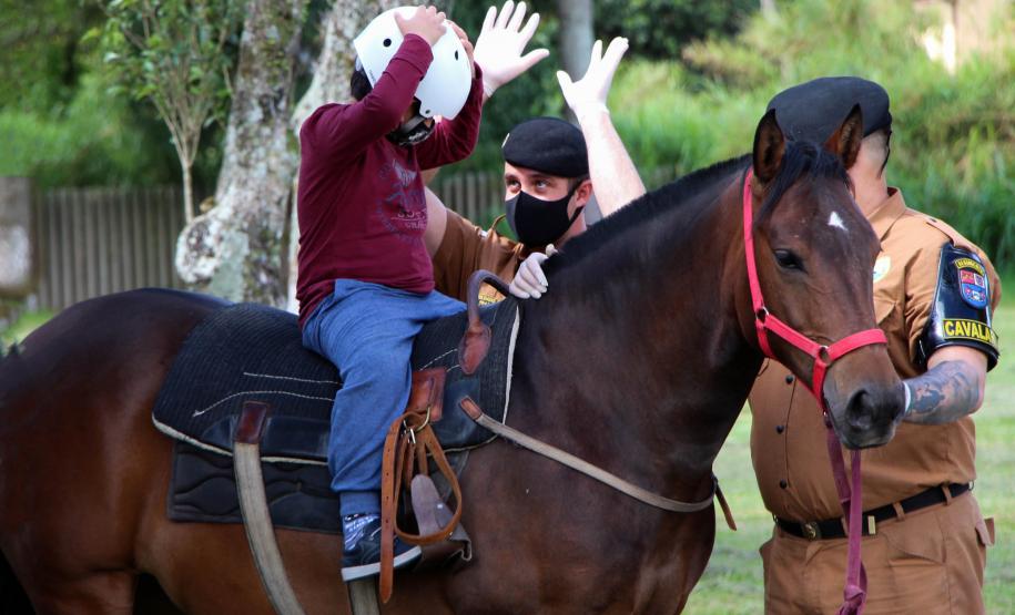 Assinatura de termo de cooperação técnica com ONG ampliará programa de Equoterapia