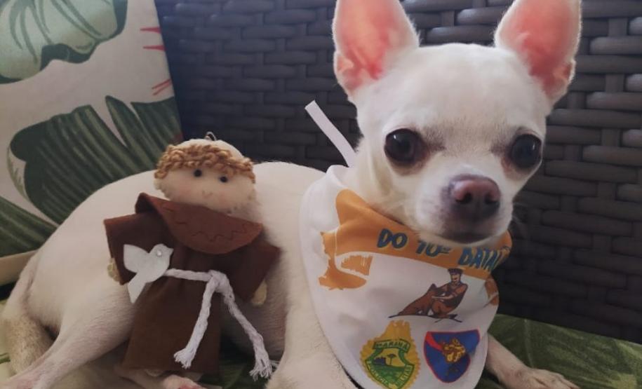 PM de Apucarana (PR) promove Drive Thru para a benção de animais; 700 animais foram abençoados