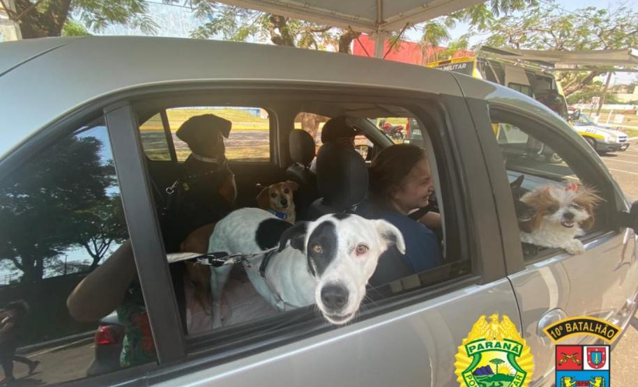 PM de Apucarana (PR) promove Drive Thru para a benção de animais; 700 animais foram abençoados