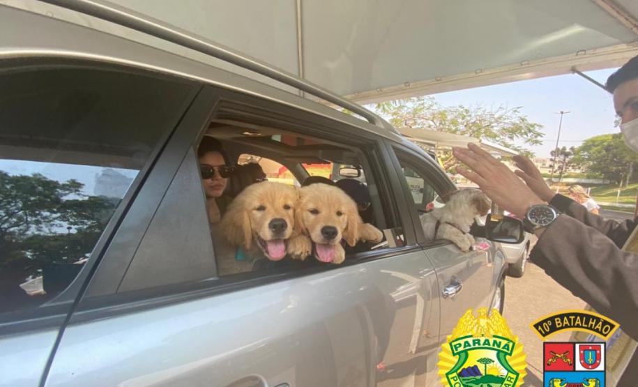PM de Apucarana (PR) promove Drive Thru para a benção de animais; 700 animais foram abençoados