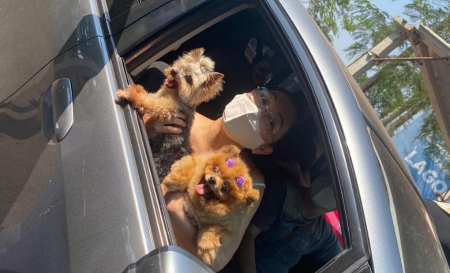 PM de Apucarana (PR) promove Drive Thru para a benção de animais; 700 animais foram abençoados