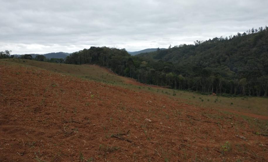 Operação Mata Atlântica em Pé aplica R$ 7,8 milhões em multas