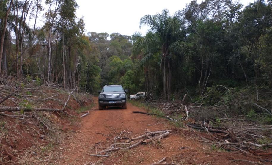 Operação Mata Atlântica em Pé aplica R$ 7,8 milhões em multas
