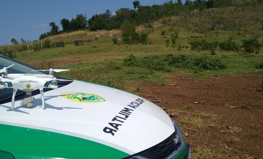 Operação Mata Atlântica em Pé aplica R$ 7,8 milhões em multas