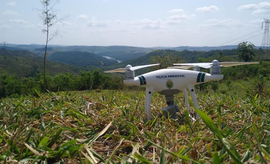 Operação Mata Atlântica em Pé aplica R$ 7,8 milhões em multas