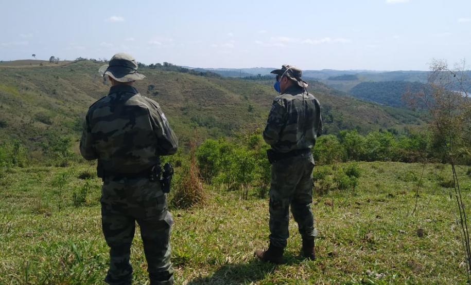 Operação Mata Atlântica em Pé aplica R$ 7,8 milhões em multas