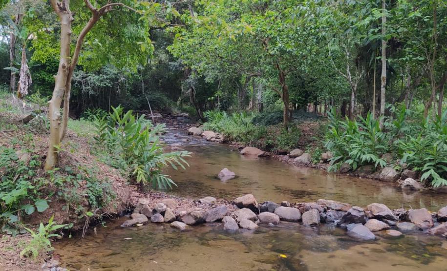 Operação Mata Atlântica em Pé aplica R$ 7,8 milhões em multas