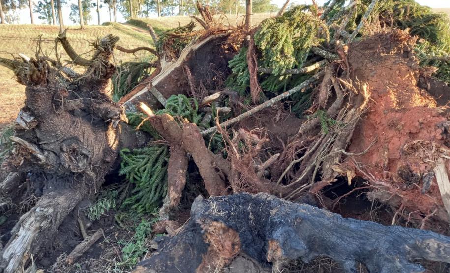 BPAmb-FV aplica mais de R$ 25 mil em multas e flagra descarte irregular de concreto no Paraná
