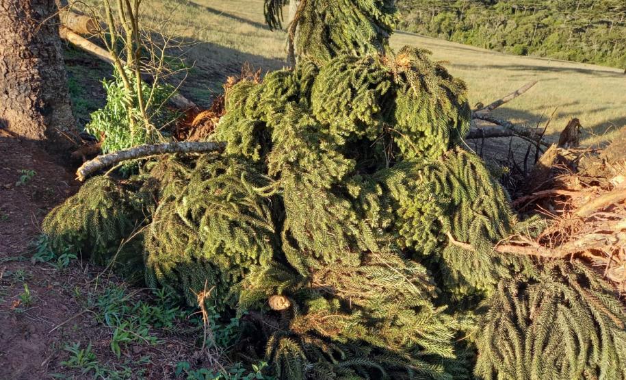 BPAmb-FV aplica mais de R$ 25 mil em multas e flagra descarte irregular de concreto no Paraná