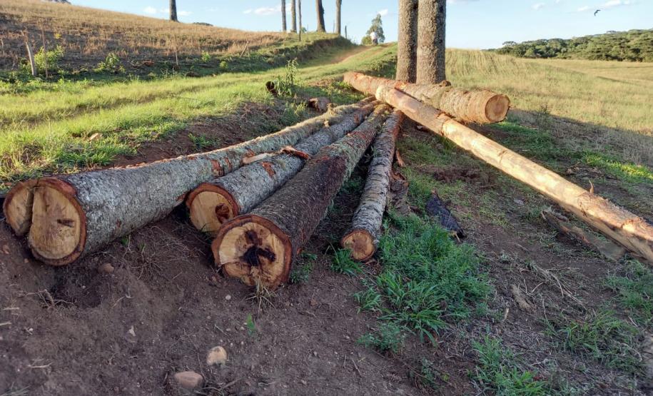 BPAmb-FV aplica mais de R$ 25 mil em multas e flagra descarte irregular de concreto no Paraná