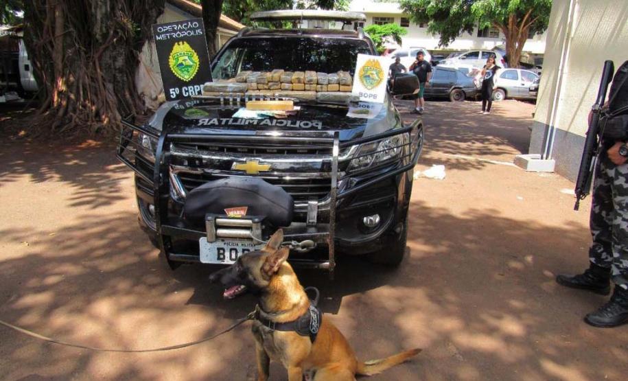 Operação Metrópolis apreende R$ 25 milhões em mercadorias ilegais