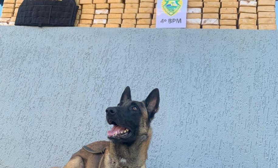 No Noroeste do estado, PM apreende mais de 200 quilos de crack e sete pessoas acabam presas em situações distintas