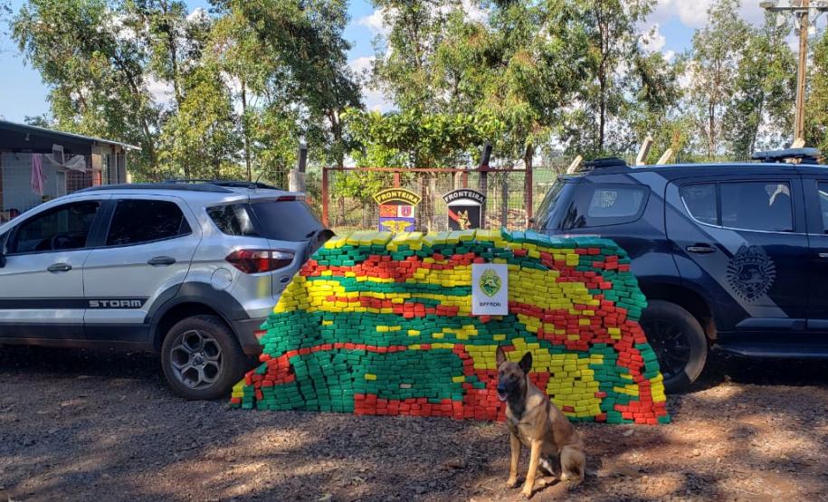 Mais de meia tonelada de maconha é apreendida pelo BPFron no Oeste do estado