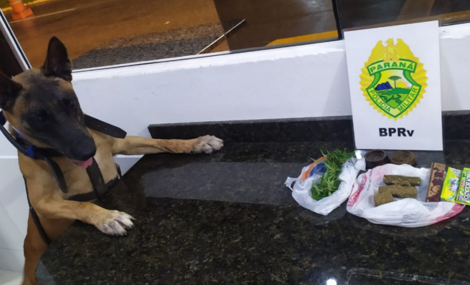 BPRv aborda ônibus que ia para Guaratuba, no Litoral do estado, e localiza maconha com rapaz