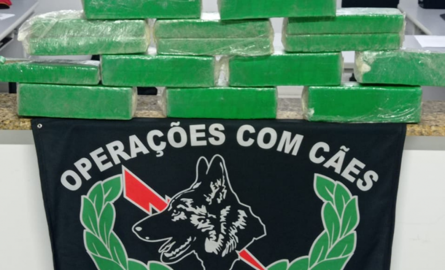 BPRv apreende mais de 400 quilos de maconha em situações distintas durante a Operação Sinergia no Paraná