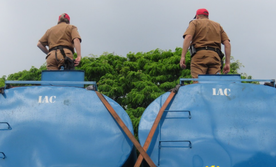 Batalhão Rodoviário faz maior apreensão de maconha no ano em Santa Helena; 4,6 toneladas de droga estavam em caminhão