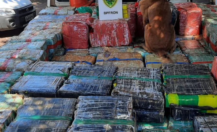Operações com Cães do BPFron apreende mais de 2,5 toneladas de maconha em Santa Helena (PR)