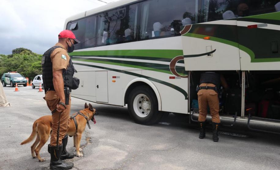 Em blitz educativa sanitária, Canil do BPRv apreende maconha em Pontal do Paraná