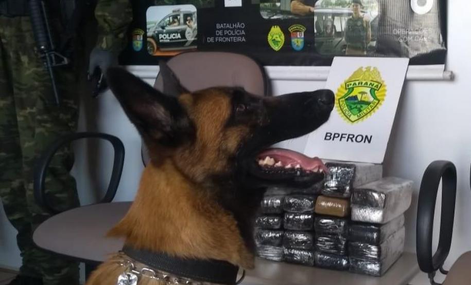 BPFron apreende mais de 17 quilos de maconha ao abordar ônibus em Marechal Cândido Rondon (PR)