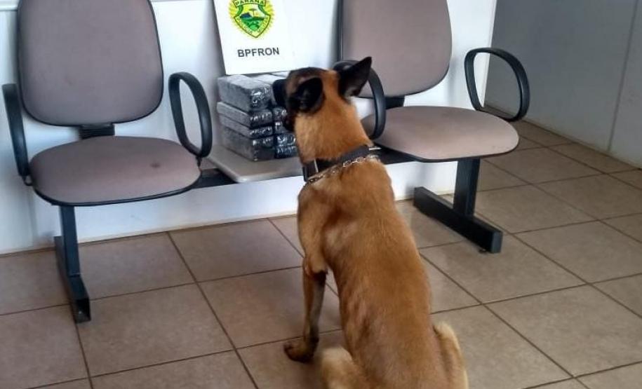 BPFron apreende mais de 17 quilos de maconha ao abordar ônibus em Marechal Cândido Rondon (PR)