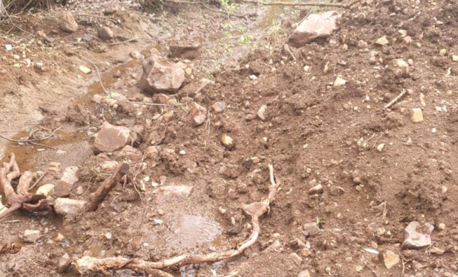 Força-Tarefa reforça combate à pesca predatória e desmatamento no Estado