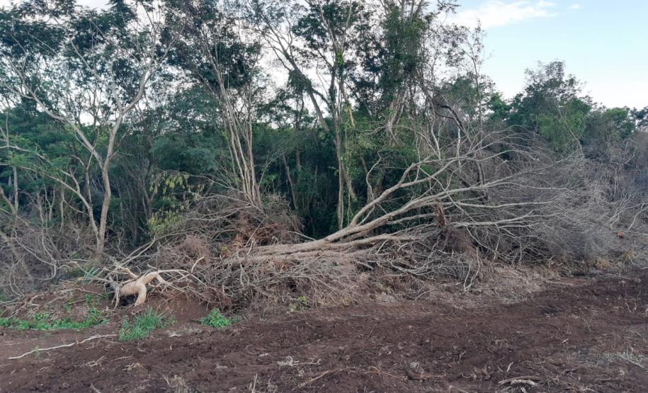 Força-Tarefa reforça combate à pesca predatória e desmatamento no Estado