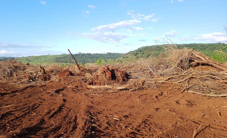 Força-Tarefa reforça combate à pesca predatória e desmatamento no Estado