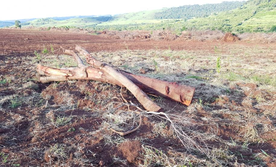 Força-Tarefa reforça combate à pesca predatória e desmatamento no Estado